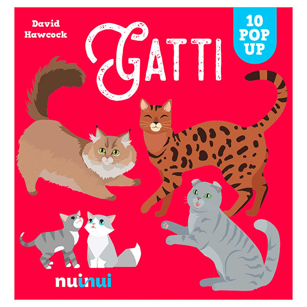 NuiNui Pop Up Antica Roma - L'Orso Dado