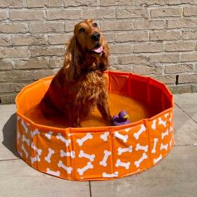 Sunwave Brands Piscina Per Cani - L'Orso Dado