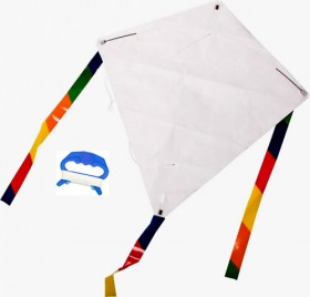 Aquilone Monofilo da Colorare - L&#39;Orso Dado